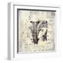 Aeropostale I-Liz Jardine-Framed Art Print