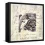 Aeropostale II-Liz Jardine-Framed Stretched Canvas