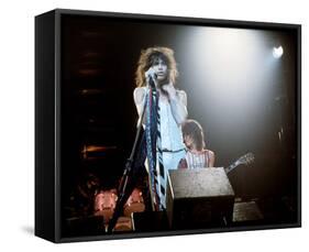 Aerosmith-null-Framed Stretched Canvas