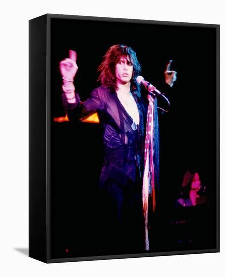 Aerosmith-null-Framed Stretched Canvas