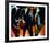 Aerosmith-null-Framed Photo