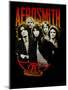 Aerosmith-null-Mounted Poster