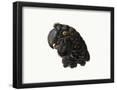 Essential Black