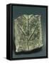 Aes Signatum Ingot Depicting a Dry Bough, Stamped Copper-null-Framed Stretched Canvas