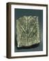 Aes Signatum Ingot Depicting a Dry Bough, Stamped Copper-null-Framed Giclee Print