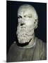 Wood Mount