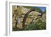 Aesculapian Snake (Zamenis Longissimus or Elaphe Longissima), Colubridae-null-Framed Premium Giclee Print