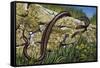 Aesculapian Snake (Zamenis Longissimus or Elaphe Longissima), Colubridae-null-Framed Stretched Canvas