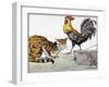 Aesop: Cat, Cock, and Mouse-Milo Winter-Framed Giclee Print