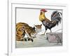 Aesop: Cat, Cock, and Mouse-Milo Winter-Framed Giclee Print