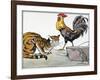 Aesop: Cat, Cock, and Mouse-Milo Winter-Framed Giclee Print