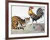 Aesop: Cat, Cock, and Mouse-Milo Winter-Framed Giclee Print