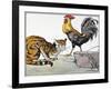 Aesop: Cat, Cock, and Mouse-Milo Winter-Framed Giclee Print