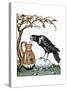 Aesop: Crow and Pitcher-Milo Winter-Stretched Canvas