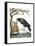 Aesop: Crow and Pitcher-Milo Winter-Framed Stretched Canvas
