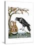 Aesop: Crow and Pitcher-Milo Winter-Stretched Canvas