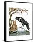 Aesop: Crow and Pitcher-Milo Winter-Framed Stretched Canvas