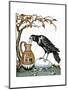 Aesop: Crow and Pitcher-Milo Winter-Mounted Premium Giclee Print