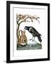 Aesop: Crow and Pitcher-Milo Winter-Framed Premium Giclee Print