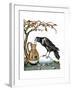 Aesop: Crow and Pitcher-Milo Winter-Framed Giclee Print