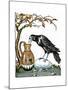 Aesop: Crow and Pitcher-Milo Winter-Mounted Giclee Print
