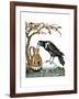 Aesop: Crow and Pitcher-Milo Winter-Framed Giclee Print