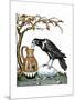 Aesop: Crow and Pitcher-Milo Winter-Mounted Giclee Print