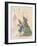 Aesop Fables-C.H. Bennett-Framed Giclee Print