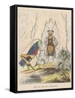 Aesop Fables-C.H. Bennett-Framed Stretched Canvas