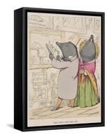 Aesop Fables-C.H. Bennett-Framed Stretched Canvas