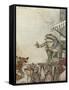 Aesop, Frog Physician-Arthur Rackham-Framed Stretched Canvas