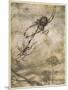 Aesop, Gnat and the Lion-Arthur Rackham-Mounted Art Print