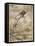 Aesop, Gnat and the Lion-Arthur Rackham-Framed Stretched Canvas