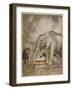 Aesop, Lion and Elephant-Arthur Rackham-Framed Art Print