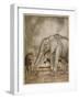 Aesop, Lion and Elephant-Arthur Rackham-Framed Art Print