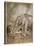 Aesop, Lion and Elephant-Arthur Rackham-Stretched Canvas