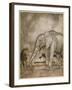 Aesop, Lion and Elephant-Arthur Rackham-Framed Art Print