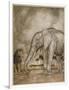 Aesop, Lion and Elephant-Arthur Rackham-Framed Art Print