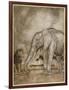 Aesop, Lion and Elephant-Arthur Rackham-Framed Art Print