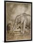 Aesop, Lion and Elephant-Arthur Rackham-Framed Art Print