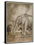 Aesop, Lion and Elephant-Arthur Rackham-Framed Stretched Canvas