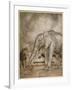 Aesop, Lion and Elephant-Arthur Rackham-Framed Art Print