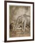 Aesop, Lion and Elephant-Arthur Rackham-Framed Art Print