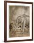 Aesop, Lion and Elephant-Arthur Rackham-Framed Art Print