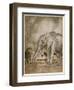 Aesop, Lion and Elephant-Arthur Rackham-Framed Art Print