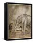 Aesop, Lion and Elephant-Arthur Rackham-Framed Stretched Canvas