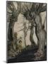 Aesop's Fables-Arthur Rackham-Mounted Giclee Print