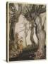 Aesop, Trees and the Axe-Arthur Rackham-Stretched Canvas