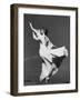 Aesthetic Dancer-null-Framed Photographic Print