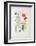 AF 1950 - Galerie Maeght-Joan Miro-Framed Collectable Print